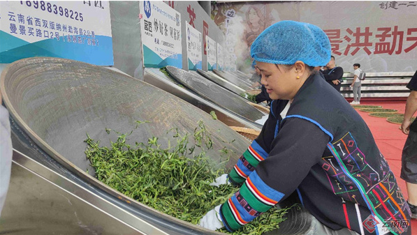 有关于景洪勐宋举办第四届古茶“斗茶”大赛的最新消息(9)