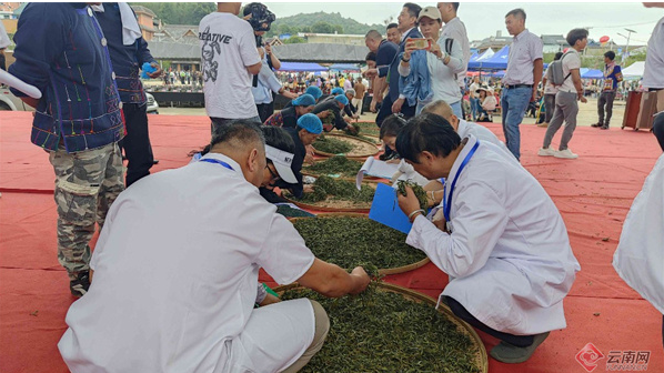 有关于景洪勐宋举办第四届古茶“斗茶”大赛的最新消息(8)