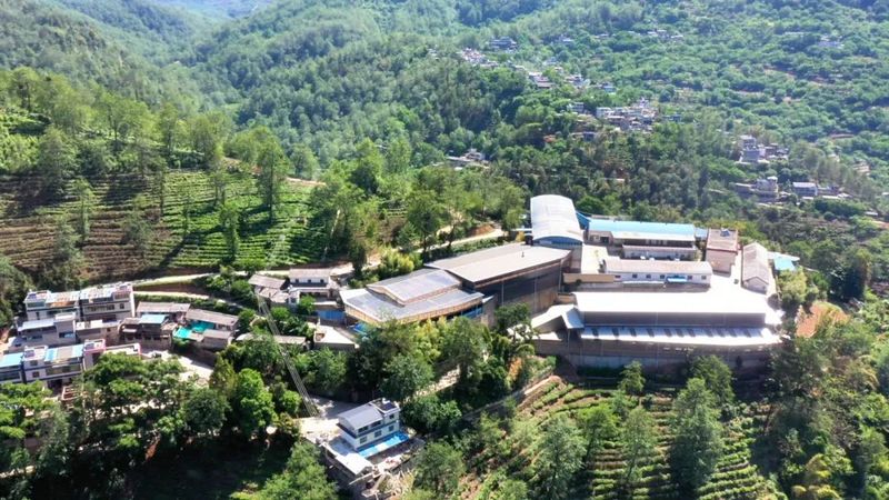 有关于永德县乌木龙乡:引进先进生产加工线 助推茶产业提质增效的最新消息