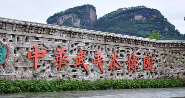 有关于“茶文旅”融合活态营造茶文化景观与非遗的沉浸体验的消息(6)