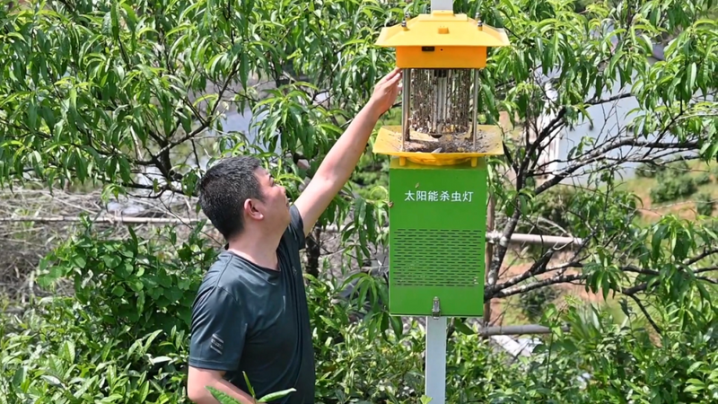 有关于做优品质 赋能茶产业高质量发展的相关信息
