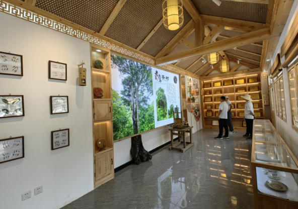 有关于康县：从卖茶叶到卖“文化”探索茶旅融合新路径的相关信息(2)