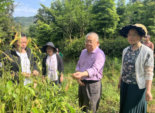 关于雅安市政协副主席、市工商联主席杨力率队调研芦山县茶产业发展情况的资讯