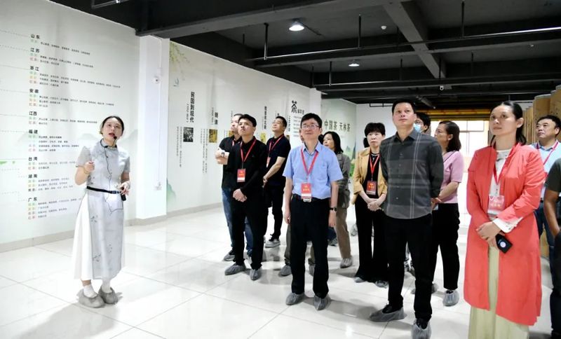 关于践行“三茶”统筹理念　助推茶产业发展——张志宏带队视察莆田“三茶”统筹发展的最新消息(1)