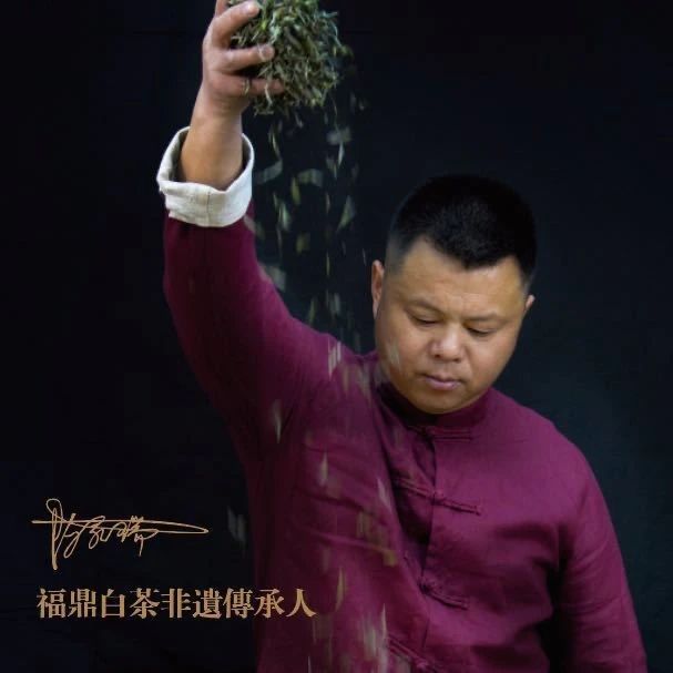 关于福鼎又添国家级技能大师工作室、博士后科研工作站!的内容(2)