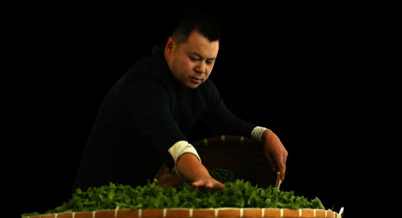 关于福鼎又添国家级技能大师工作室、博士后科研工作站!的内容(1)