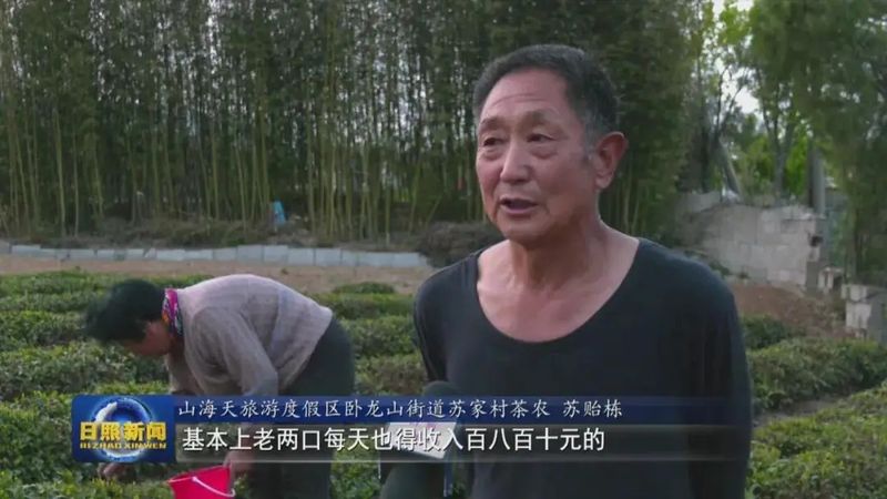 关于茶产业铺就致富路 的相关内容(4)