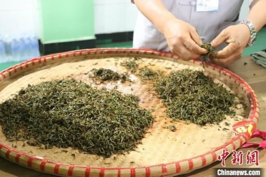 关于江西修水上演传统制茶技艺的内容(5)
