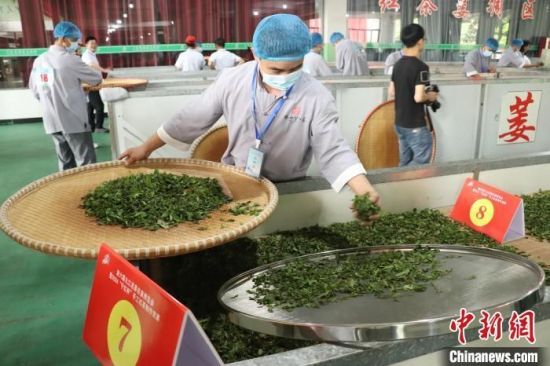 关于江西修水上演传统制茶技艺的内容(2)