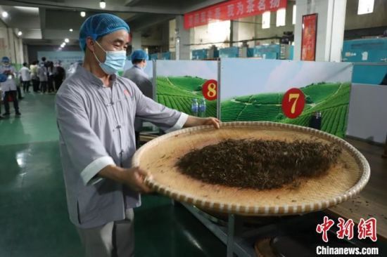 关于江西修水上演传统制茶技艺的内容(6)