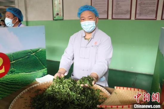 关于江西修水上演传统制茶技艺的内容