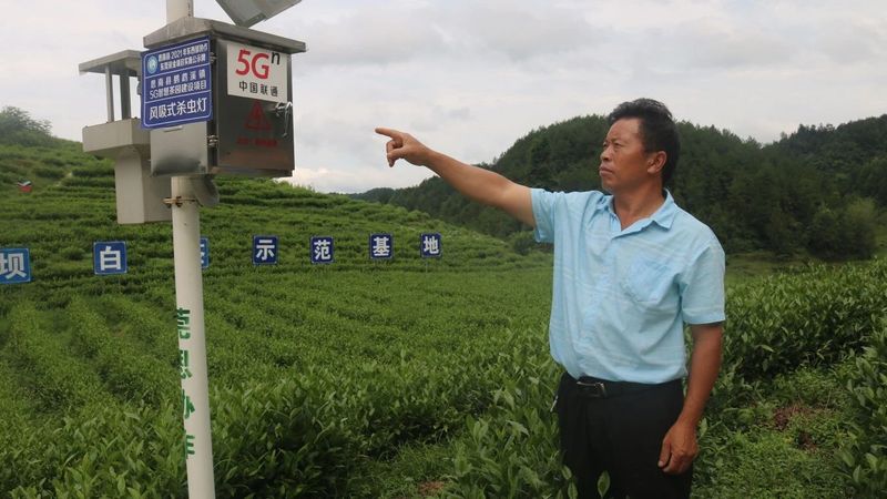 有关于思南：“新质”引领 奔赴茶产业发展“新赛道”的消息(9)