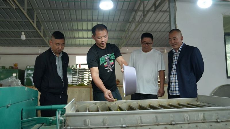 有关于思南：“新质”引领 奔赴茶产业发展“新赛道”的消息(4)