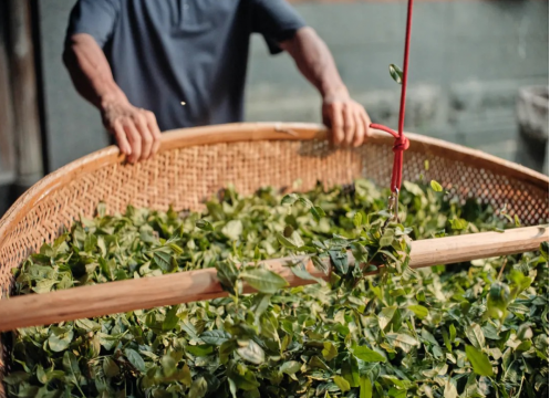 关于让茶饮回归自然本味，“茶的传人”引领无糖茶新风潮的内容(2)