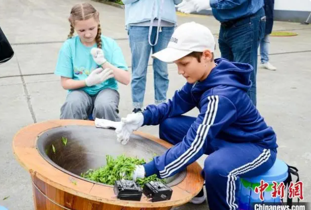 关于从手工采茶到宋代点茶 国际友人体验中国茶文化的相关内容(4)