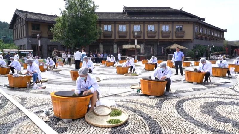 关于84名高手聚丹寨 制茶大赛显匠心的最新消息(1)