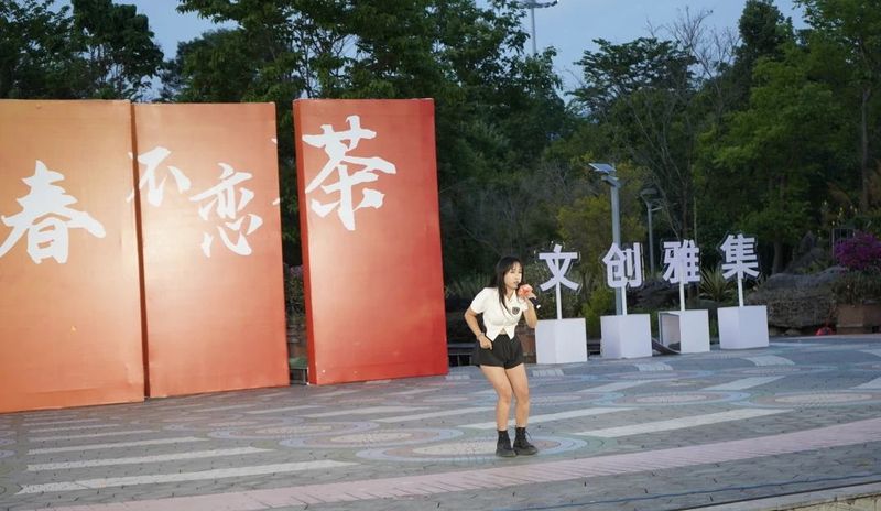 有关于中国茶是什么样子？我们用青春给你回答的消息(23)