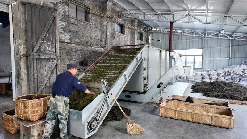 有关于安茶飘香促振兴的新闻(1)