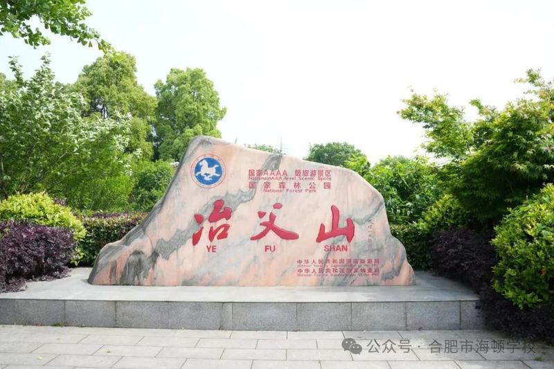 有关于合肥市 采茶知礼仪 劳动育新人的新闻