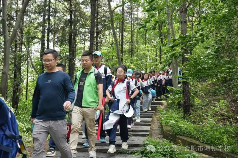 有关于合肥市 采茶知礼仪 劳动育新人的新闻(1)