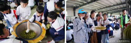 有关于合肥市 采茶知礼仪 劳动育新人的新闻(4)