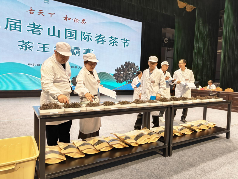 有关于麻栗坡县第二届茶王争霸赛落幕，“茶王”揭晓！的相关内容(1)