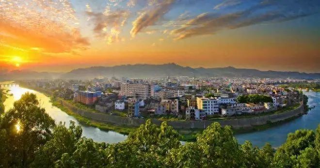 有关于朱虹 龙溪虎：永新白茶 独具四香的消息