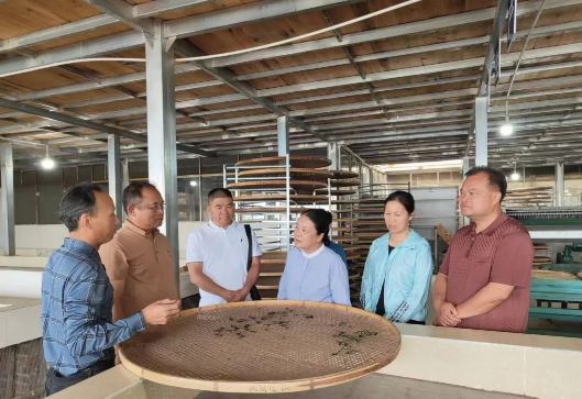 有关于黄丽云在盈江调研茶叶产业时指出：让茶产业成为山区群众发展致富的“金叶子”的相关信息