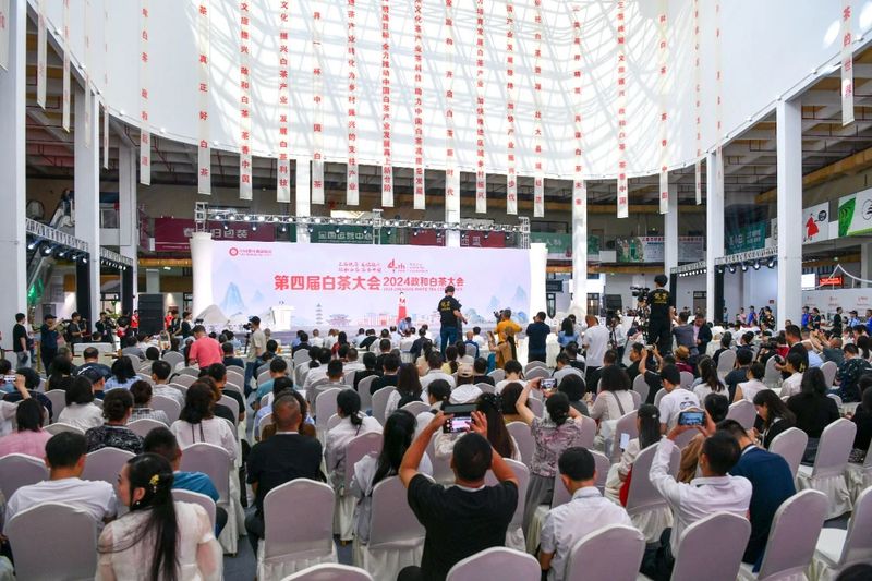 关于​践行“三茶”理念 做强政和白茶   第四届白茶大会在政和举行的信息