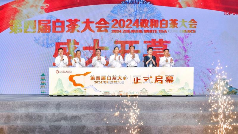 关于​践行“三茶”理念 做强政和白茶   第四届白茶大会在政和举行的信息(4)