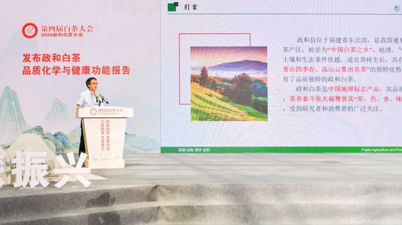 关于​践行“三茶”理念 做强政和白茶   第四届白茶大会在政和举行的信息(8)