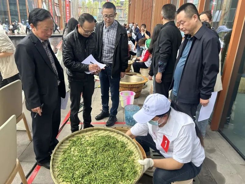 有关于一周茶事 2024中国茶品牌建设论坛举办；第十三届四川国际茶业博览会举办的消息(5)