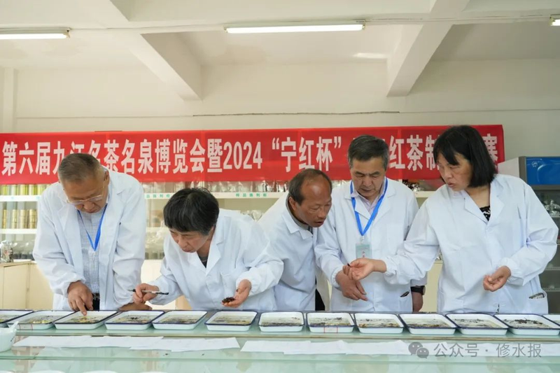 有关于一周茶事 2024中国茶品牌建设论坛举办；第十三届四川国际茶业博览会举办的消息(6)