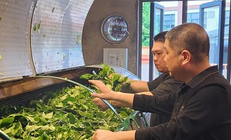 关于武夷山:心系茶农茶企 代表上门送技的新闻