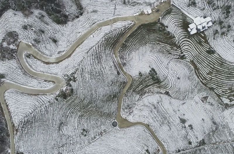有关于春茶今年销售遇冷,交易量额齐跌,湖北打出组合拳应对挑战的信息(3)