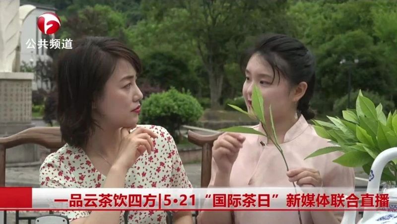关于方丽彦：用心接力 传承一叶茶的相关信息(5)