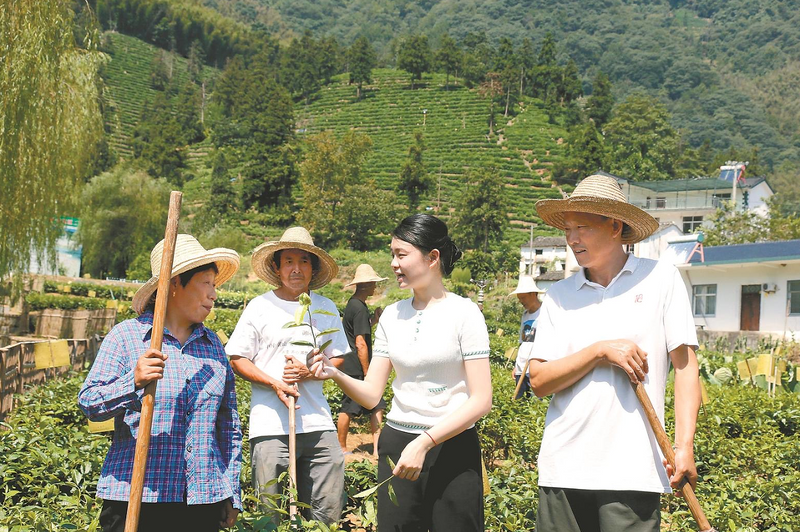 关于方丽彦：用心接力 传承一叶茶的相关信息(4)