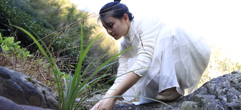 关于方丽彦：用心接力 传承一叶茶的相关信息(3)