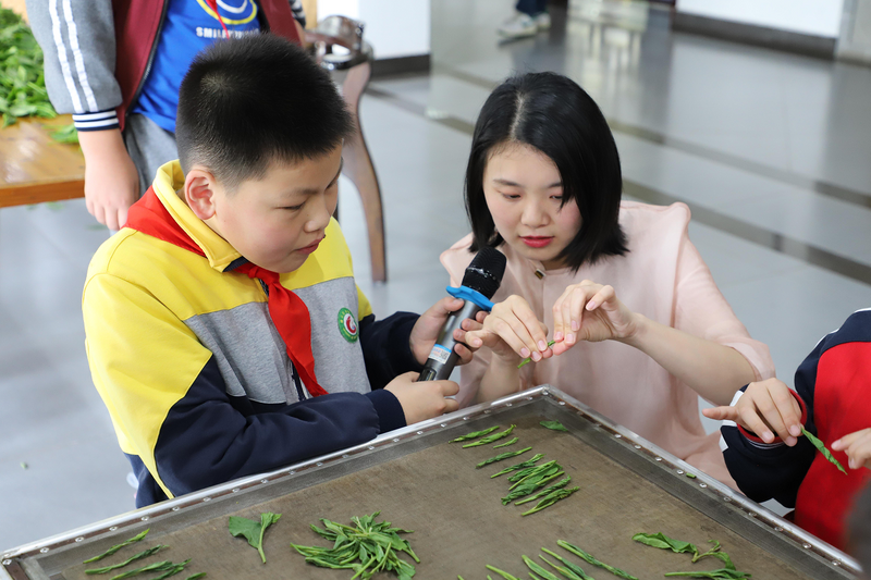 关于方丽彦：用心接力 传承一叶茶的相关信息(6)