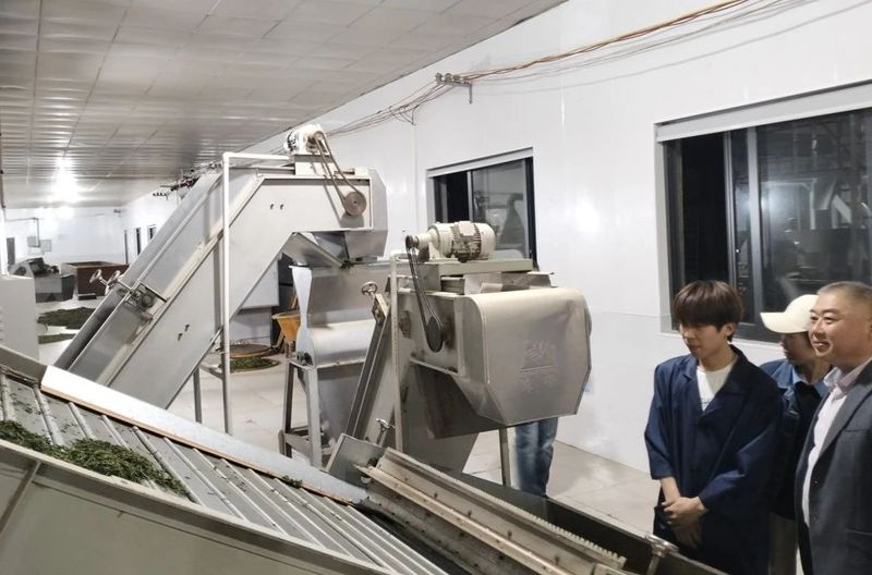 有关于泰顺县茶产业机械化建设创新探索与实践的相关信息(3)