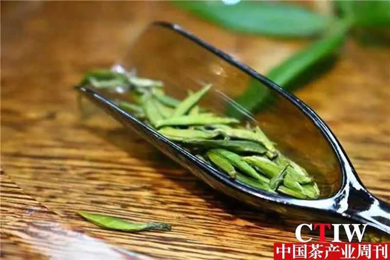 关于2023年浙江名优茶产值比重居全国之首的新闻