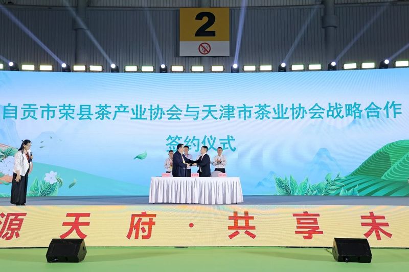 有关于首届全国花茶品牌及产业发展大会圆满召开，“荣县花茶”精彩绽放的资讯(19)