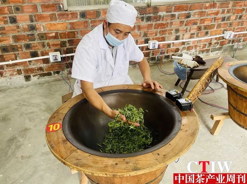 有关于广西凌云：茶业兴旺绘新篇 “金”叶铺就富民路的信息(1)