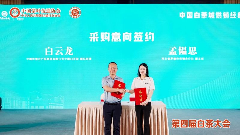 关于为大众奉上民生好茶！中国白茶城供销经典系列口粮茶正式发布的最新消息(8)