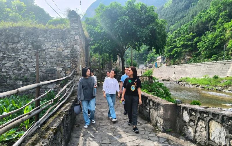 有关于张国立团队到巫溪县考察老鹰茶产业及文旅发展的相关信息