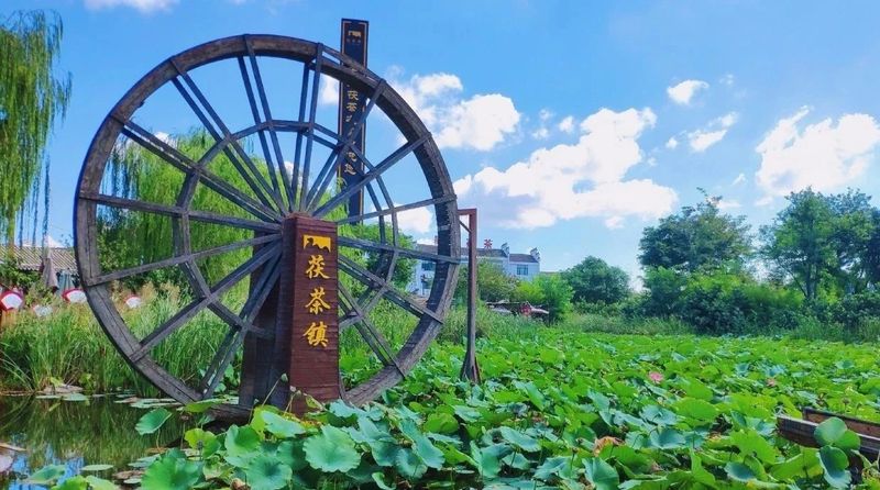 关于茯茶镇走进莫干山 共话品牌发展力量的最新消息(2)