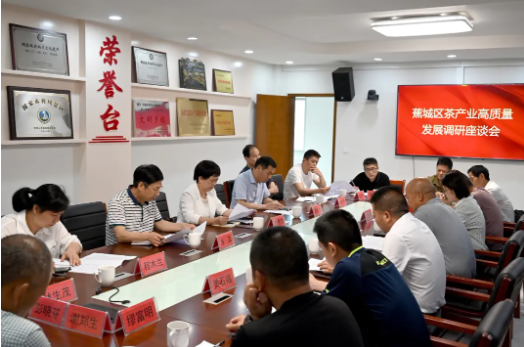 有关于推动茶产业高质量发展!区政协赴霍童镇开展茶产业专题调研的信息(1)