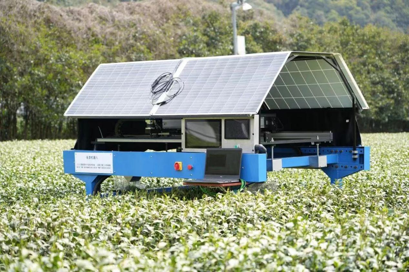 关于从传统茶到新茶饮,茶行业的“新质生产力”究竟藏了多少大招?的相关信息(7)
