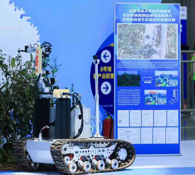 关于从传统茶到新茶饮,茶行业的“新质生产力”究竟藏了多少大招?的相关信息(8)