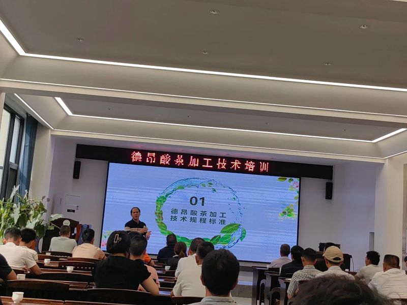 关于德宏州首次德昂酸茶加工技术培训在芒市举办的消息(2)